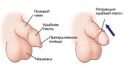 Видновская муниципальная районная больница